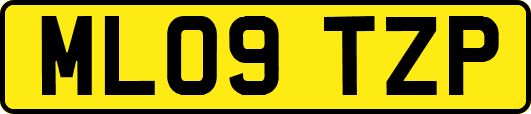 ML09TZP