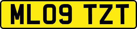 ML09TZT