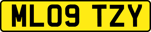 ML09TZY