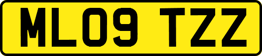 ML09TZZ