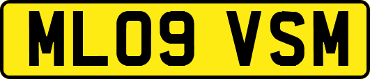 ML09VSM