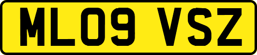 ML09VSZ