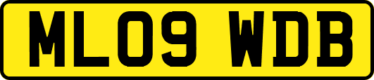 ML09WDB