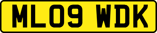 ML09WDK