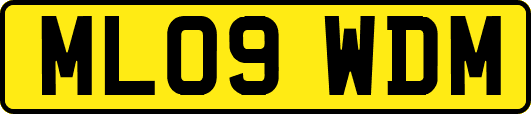 ML09WDM