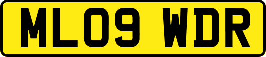 ML09WDR