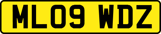 ML09WDZ