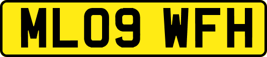 ML09WFH