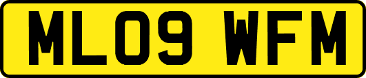 ML09WFM