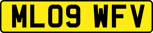 ML09WFV