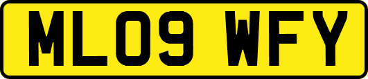 ML09WFY