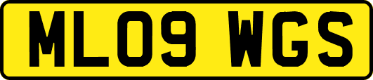 ML09WGS