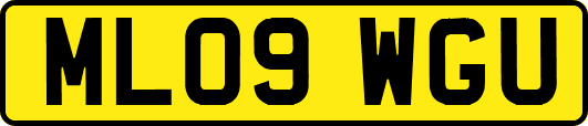ML09WGU