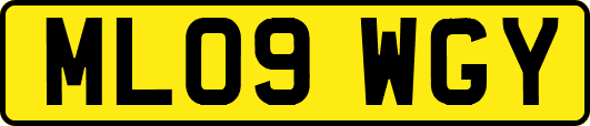 ML09WGY