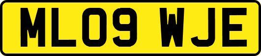 ML09WJE