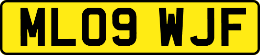 ML09WJF