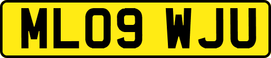 ML09WJU