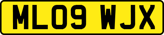 ML09WJX