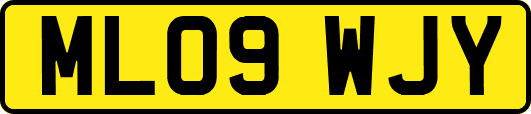 ML09WJY