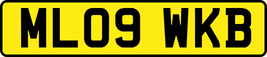 ML09WKB