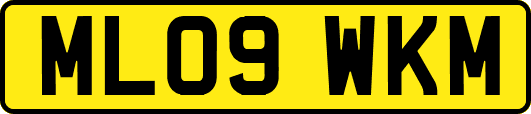 ML09WKM