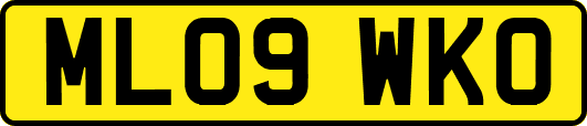 ML09WKO