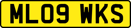 ML09WKS