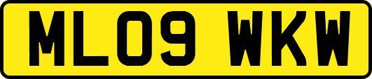 ML09WKW