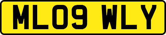 ML09WLY