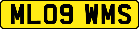 ML09WMS