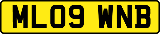 ML09WNB