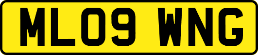 ML09WNG