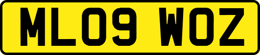 ML09WOZ