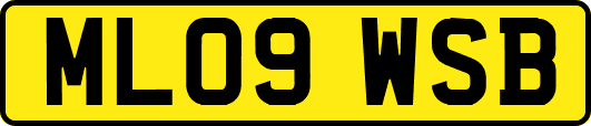 ML09WSB