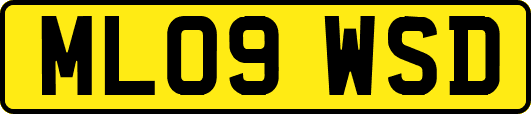 ML09WSD