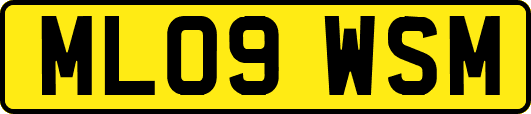 ML09WSM