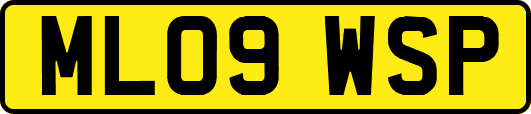 ML09WSP