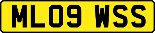 ML09WSS