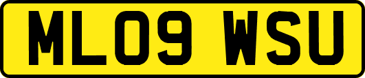 ML09WSU
