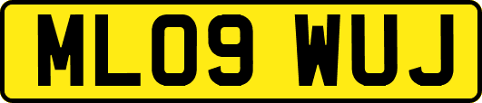ML09WUJ