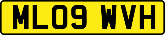 ML09WVH