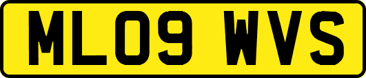 ML09WVS