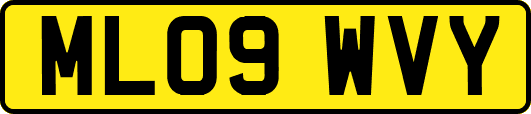 ML09WVY