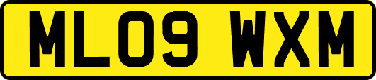 ML09WXM