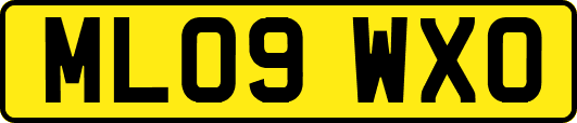ML09WXO