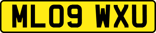 ML09WXU