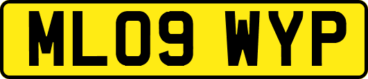 ML09WYP