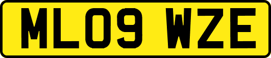 ML09WZE
