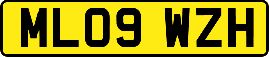 ML09WZH