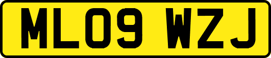 ML09WZJ